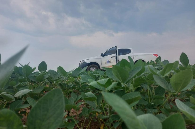 Vazio sanitário da soja já está em vigência em Mato Grosso