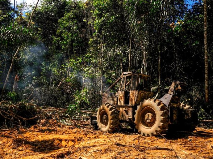 Mendes lança mais uma etapa da Operação Amazônia contra crimes ambientais em MT