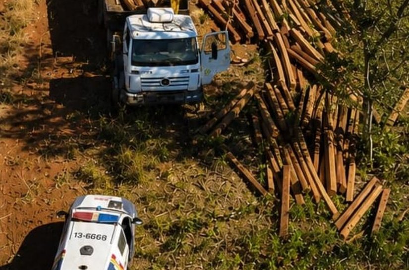 Polícia Militar prende dois homens suspeitos por extração ilegal de madeira em Campinápolis,MT