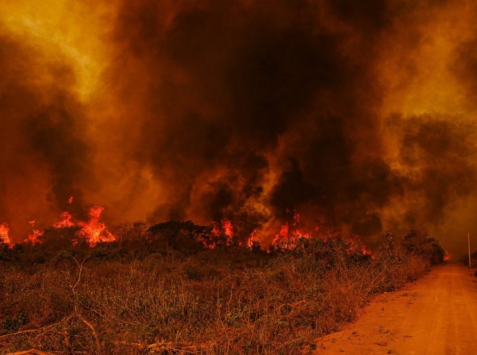 Pantanal em chamas: túnel de fogo em MT e MS