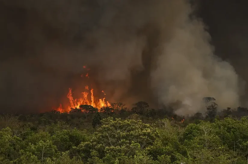 Queimadas fazem desmatamento crescer 92% na Amazônia em maio