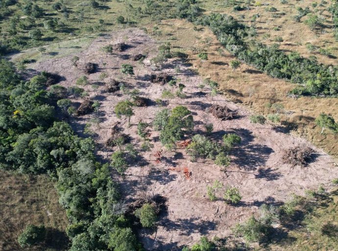 Batalhão Ambiental da PM embarga área após denúncia de desmatamento irregular