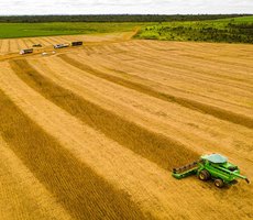 Mato Grosso consolida safra 25/26 com produção recorde e mantém liderança na soja há 26 safras