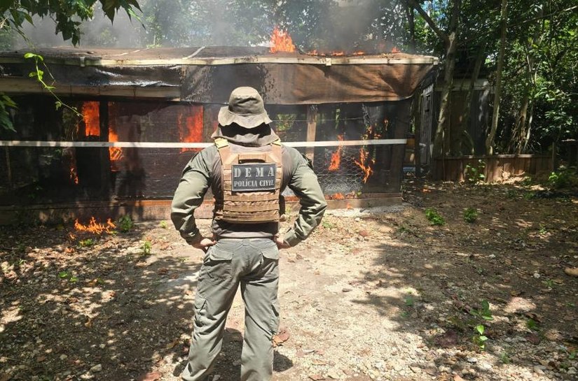 Operação resulta em prisões por crime ambiental e demolições de construções irregulares em Área de Preservação Permanente
