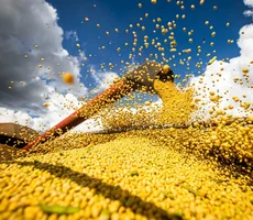 Conab: produção de grãos pode chegar a 358,6 milhões de toneladas