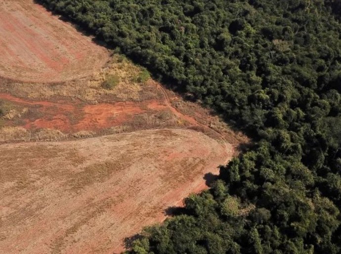 Brasil acredita em aporte maior dos EUA em Fundo Amazônia