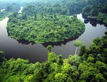 Governo de MT e O.N.E. Amazon firmam convênio de US$ 100 milhões para preservação da Amazônia