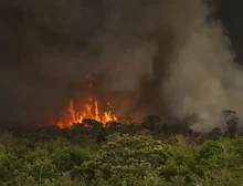 Queimadas fazem desmatamento crescer 92% na Amazônia em maio