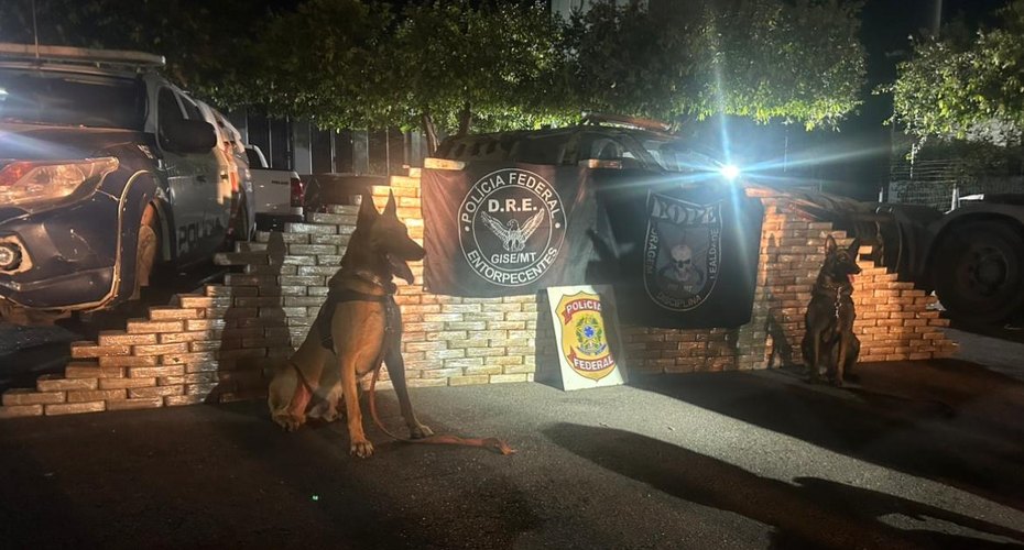 PF em ação conjunta apreende cerca de 450 kg de cocaína em Alto Garças, MT