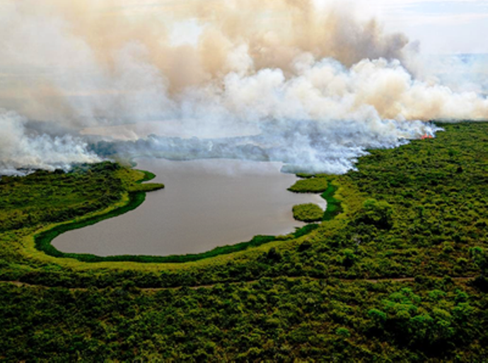 MPF instaura procedimento para acompanhamento das ações contra as queimadas em MT