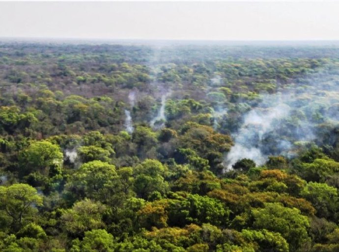Primeiro incêndio de grande proporção no Pantanal é controlado pelo Corpo de Bombeiros