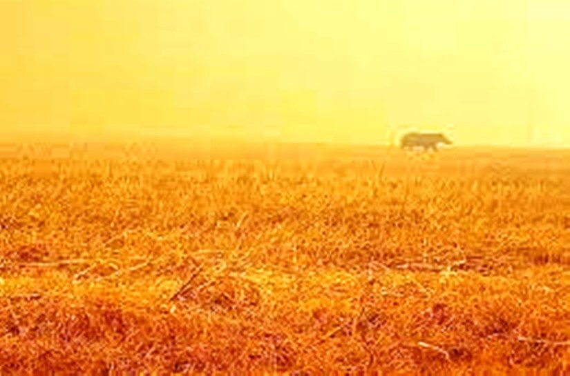 Devastação da Amazônia prejudica chuvas e ajuda Pantanal a bater recorde de queimadas