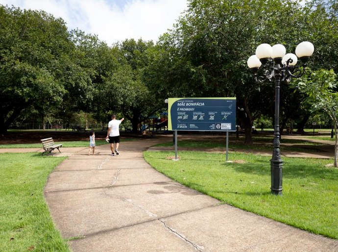 Sema realiza Trilha Interpretativa de Flora no Parque Mãe Bonifácia neste fim de semana