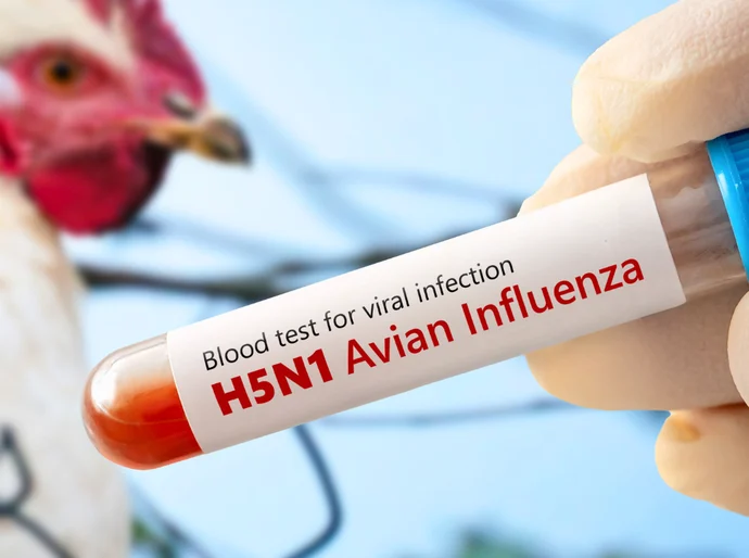 Mato Grosso registra foco da gripe influenza aviária em aves, diz Mapa