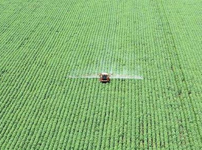 Agronegócio bate recorde de exportações em 2021 e movimenta mais de US$ 102 bilhões