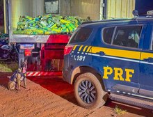 PRF apreende mais de uma tonelada de skunk em Rondonópolis, MT
