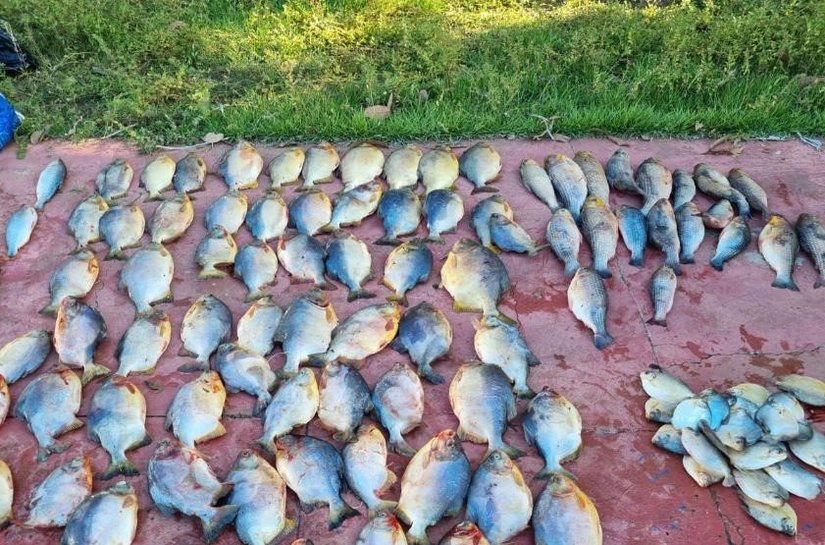 Polícia Militar prende homem com 112 unidades de pescado irregular em Cuiabá