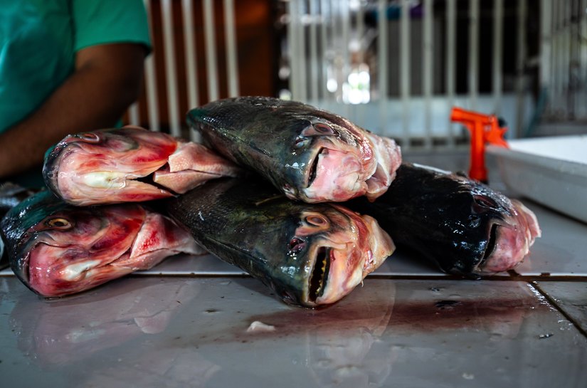 Prazo para vendedores participarem da Feira Peixe Santo termina terça-feira,17
