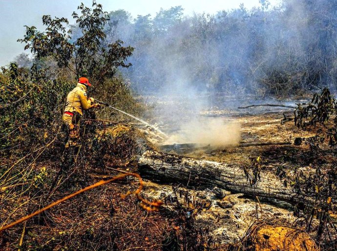 Após suspensão, Ibama determina volta dos brigadistas no combate às queimadas