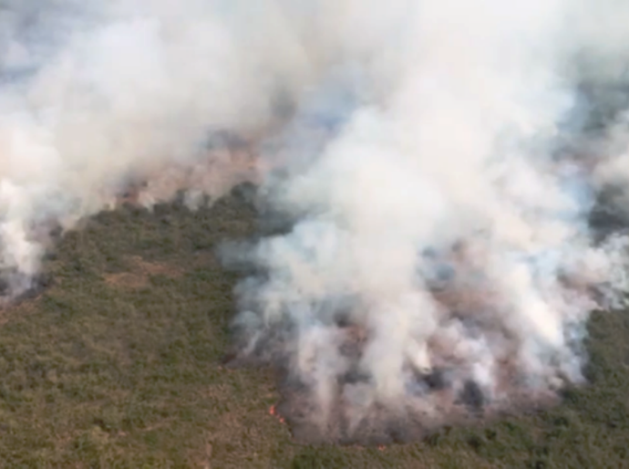 Instituições debatem causas e ações para evitar queimadas no Pantanal