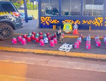 PRF apreende drogas e medicamentos em compartimento de carga na BR-163, em Rondonópolis (MT)