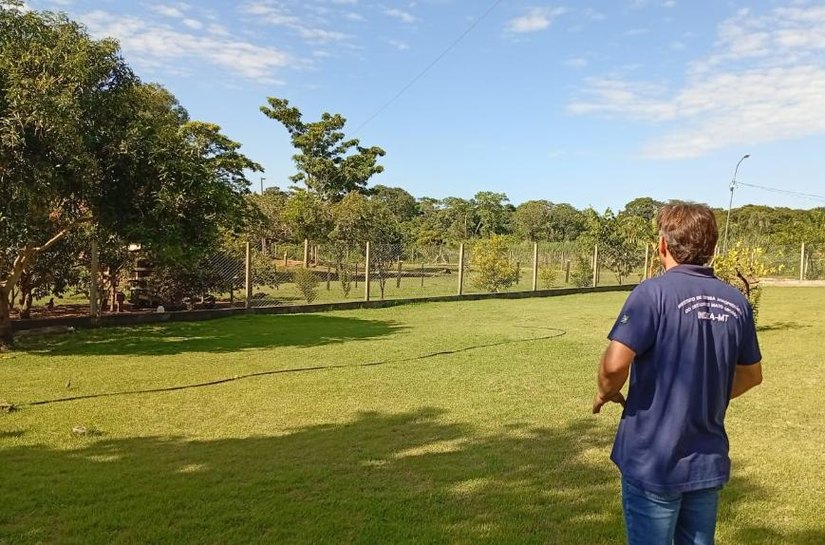 Mapa confirma caso de gripe aviária em Acorizal; equipes do Indea atuam para conter foco