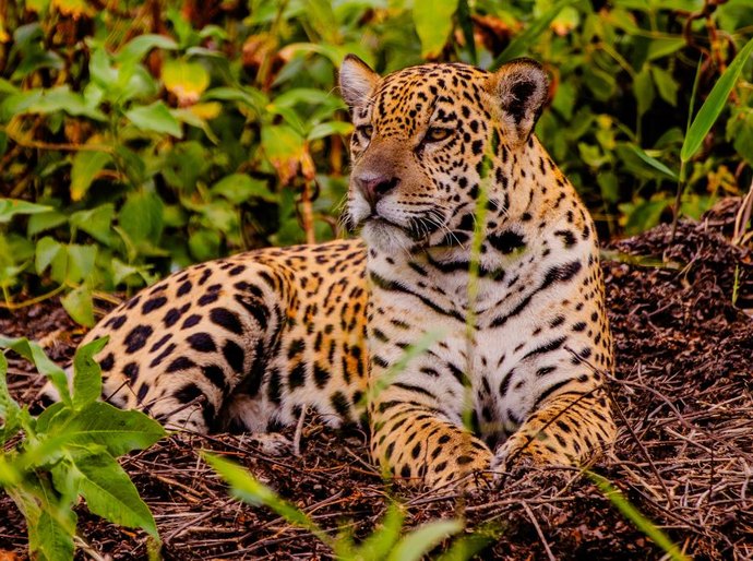 Feirão Fit Turismo oferece descontos de até 20% em viagens por Mato Grosso