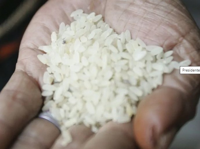 Leilão do arroz: CGU abre investigação para apurar suspeitas em importação