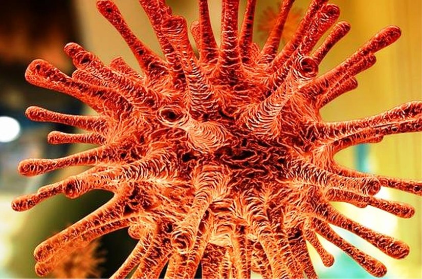 Brasil registra mais 1.127 mortes por Covid-19 nas últimas 24 horas