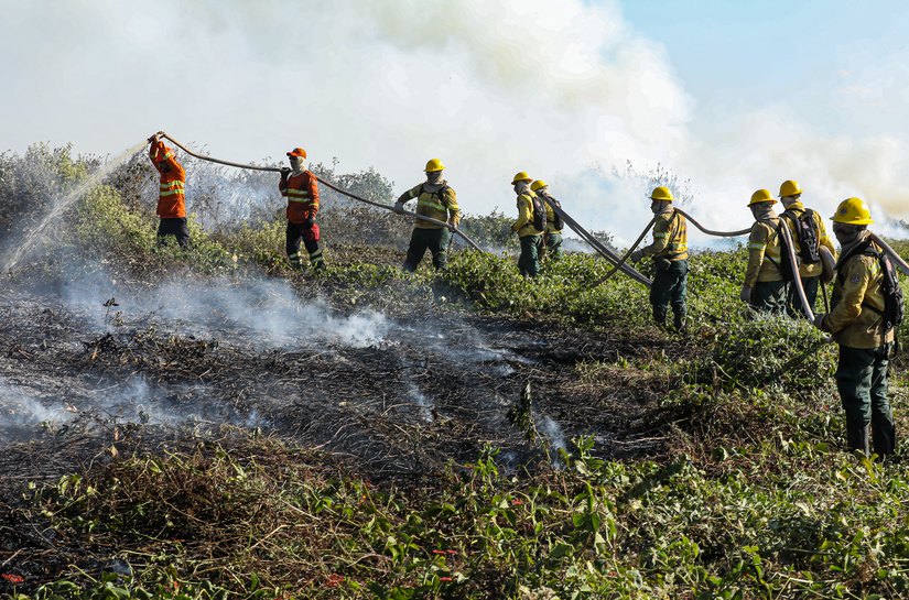 Corpo de Bombeiros combate 48 incêndios florestais no Estado nesta quarta-feira,11