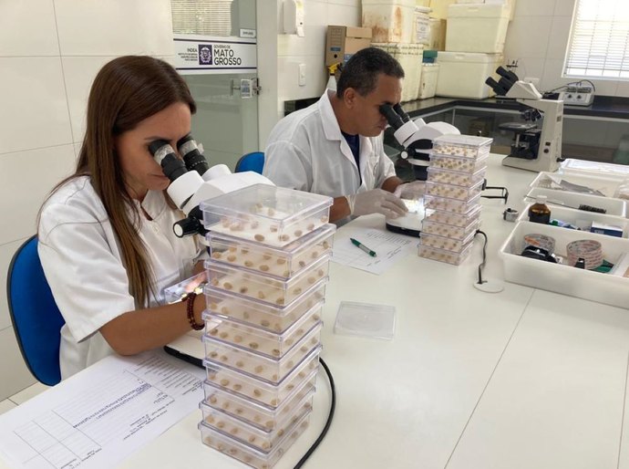 Laboratório do Indea auxilia no combate a doenças na agropecuária