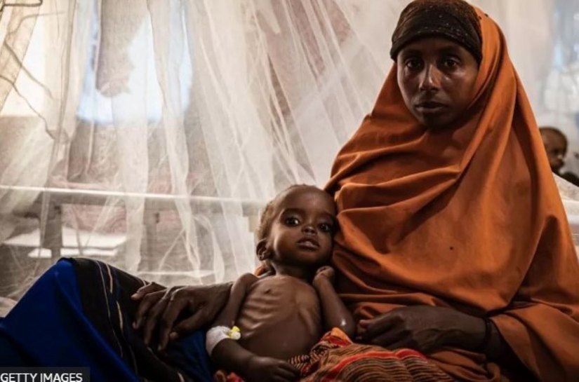 Ratos, ossos e lama: os 'alimentos do desespero' a que famintos recorrem para sobreviver