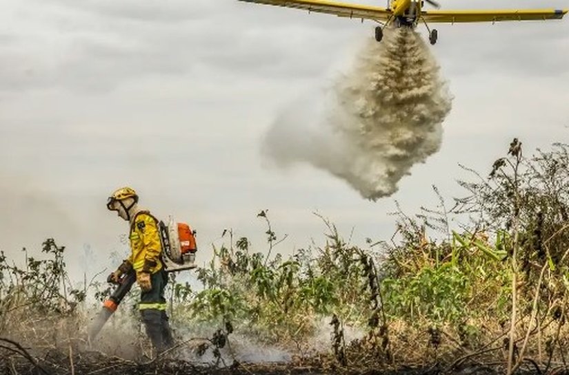 Pantanal: redução da área alagada tem favorecido aumento de incêndios