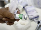 Campanha de vacinação contra a gripe começa no dia 7 de abril