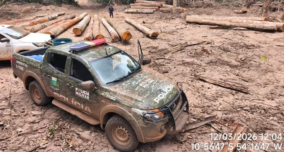 Batalhão Ambiental da PM apreende mais de 174 m³ de madeira ilegal durante fiscalização em Marcelândia