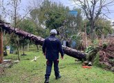 Sul, Sudeste e Centro-Oeste têm alerta para tempestades e vendavais