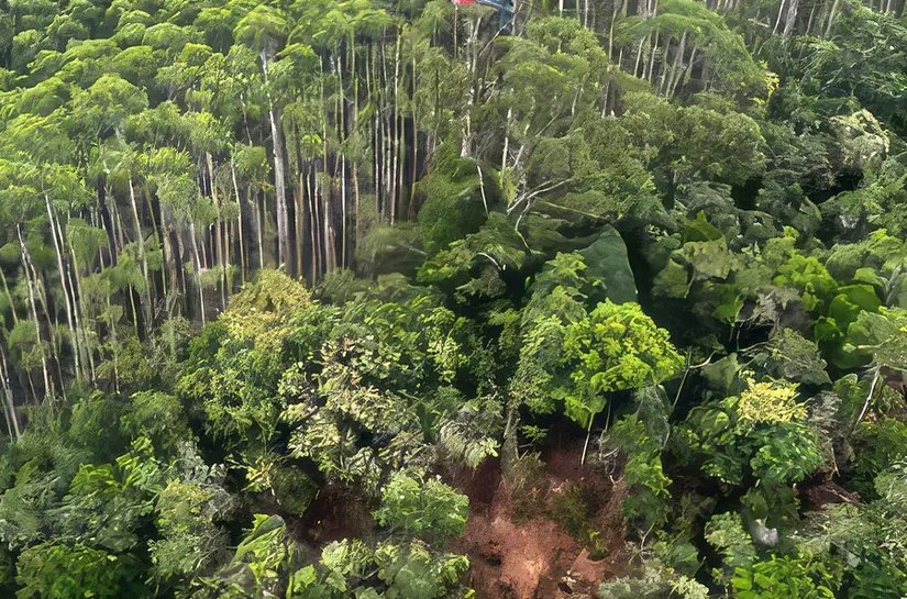 Corpos de ocupantes de helicóptero são encontrados junto aos destroços