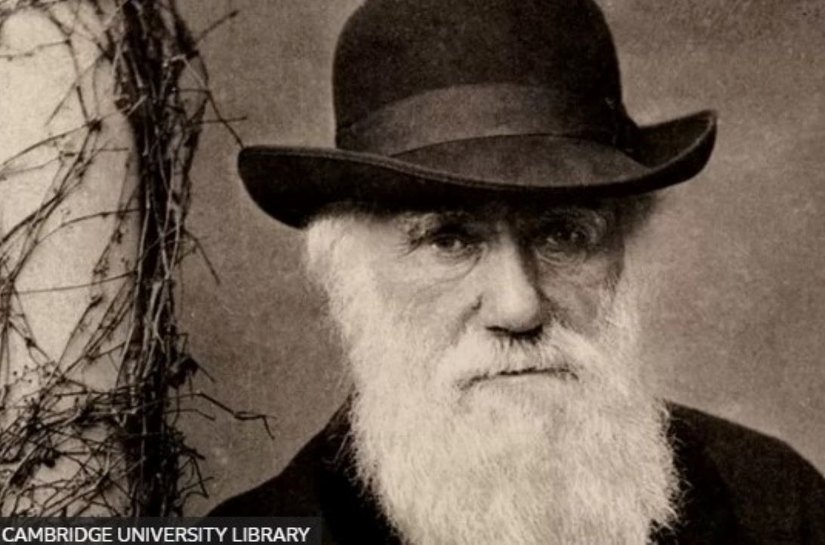 A visão de Charles Darwin sobre os escravizados no Brasil: 'Serão, no fim das contas, os governantes'