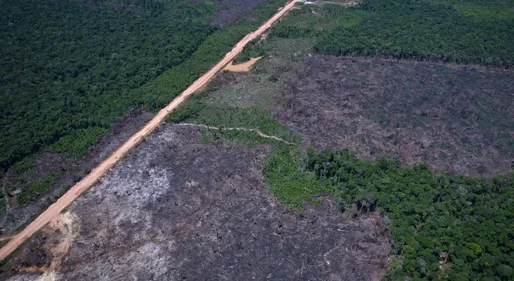 Desmatamento na Amazônia cai 36,87% no último ano