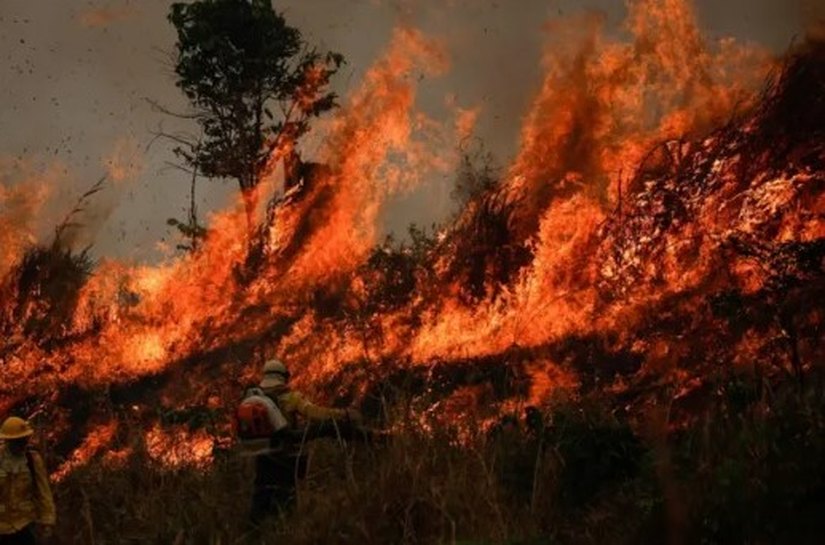 Os 2,8 mil candidatos multados por danos ao meio ambiente