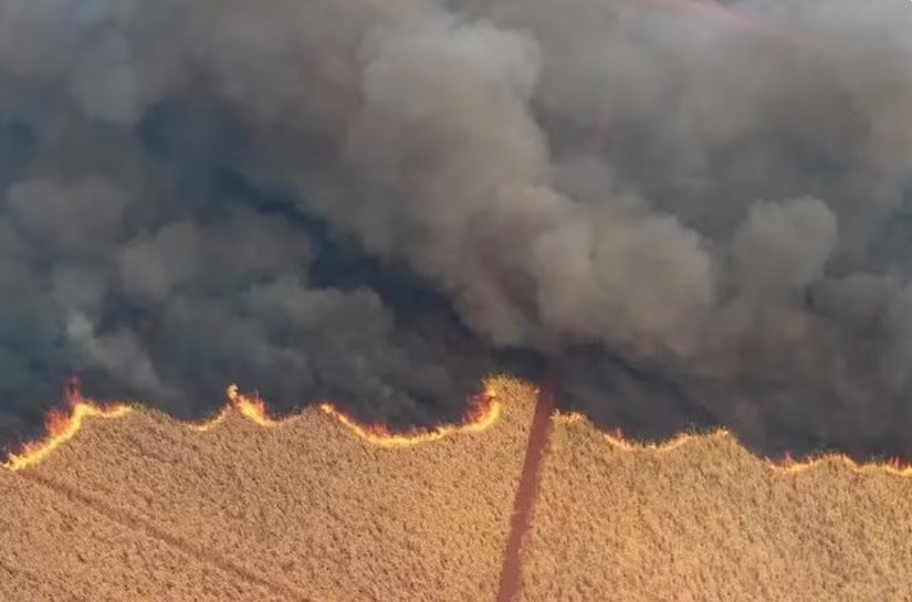 Mais da metade dos estados no país enfrenta o pior período de seca em 80 anos, diz Cemaden