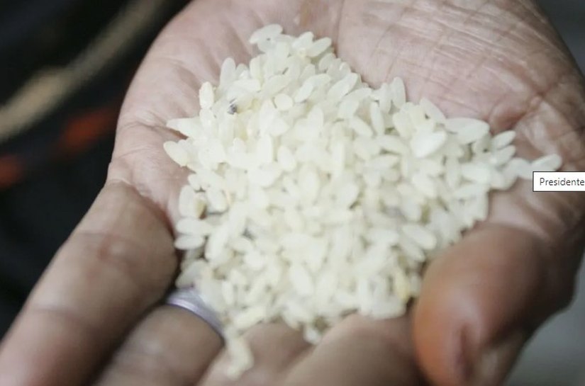 Leilão do arroz: CGU abre investigação para apurar suspeitas em importação