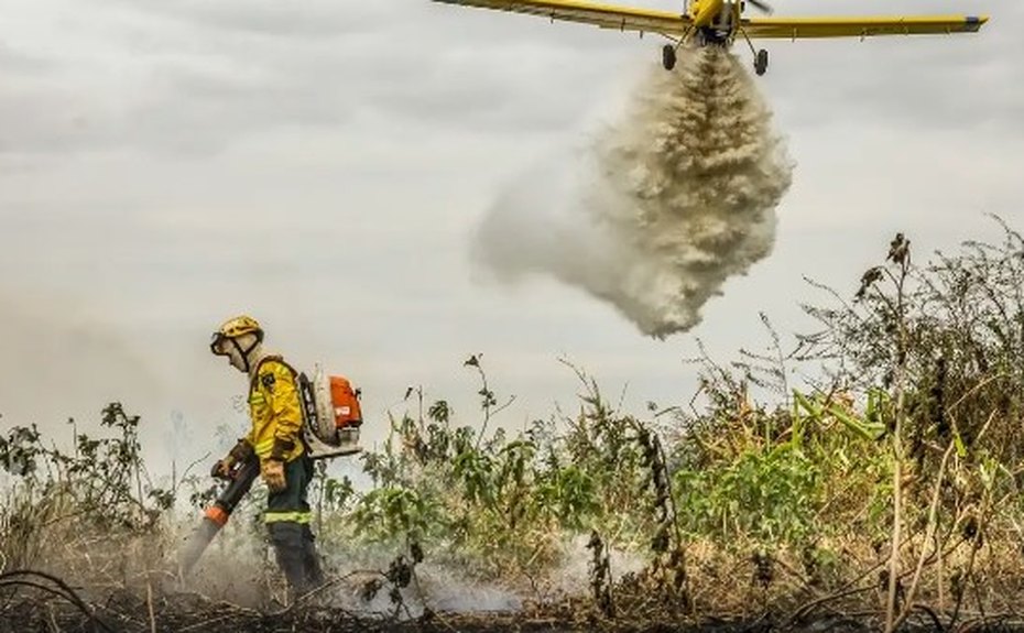 Pantanal: redução da área alagada tem favorecido aumento de incêndios