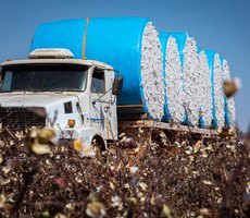 Mato Grosso lidera a balança comercial brasileira em 2025