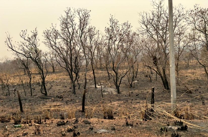 Corpo de Bombeiros combate 10 incêndios neste domingo,23, em MT