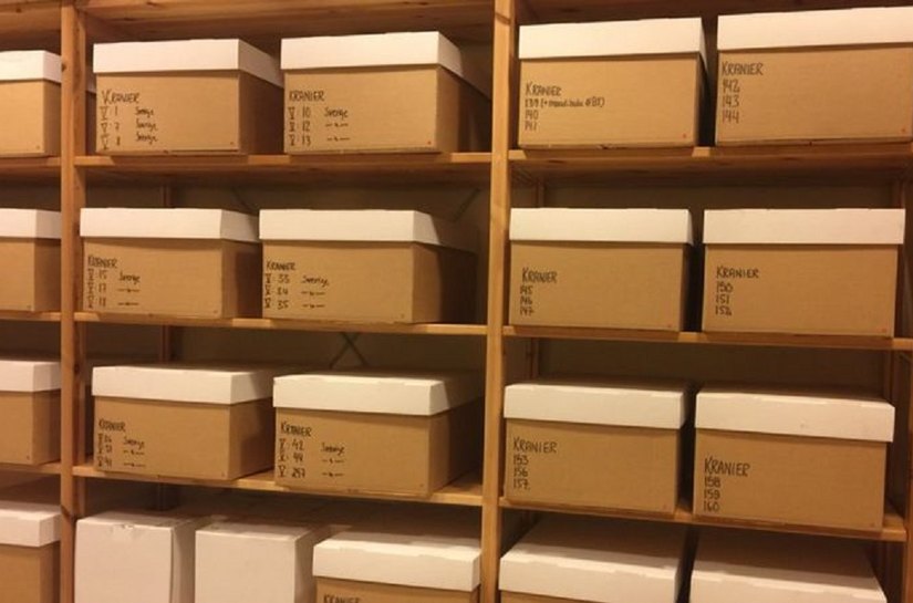 Briga sobre 'herança racista' na Suécia inclui 9 crânios brasileiros