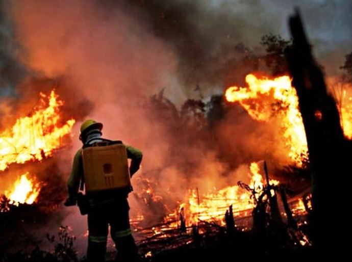 Congresso começa a tocar agenda verde para dar 'resposta' a Bolsonaro na área ambiental