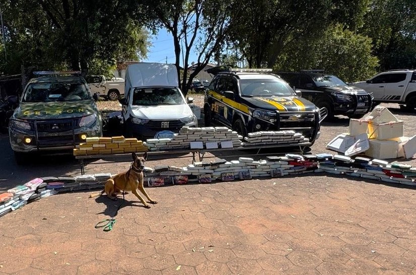 Operação integrada do Gefron e PRF apreende 280 quilos de drogas com auxílio de cão farejador