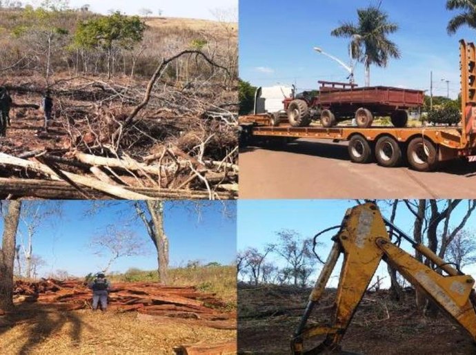 Batalhão Ambiental e Sema identificam desmatamento ilegal em General Carneiro