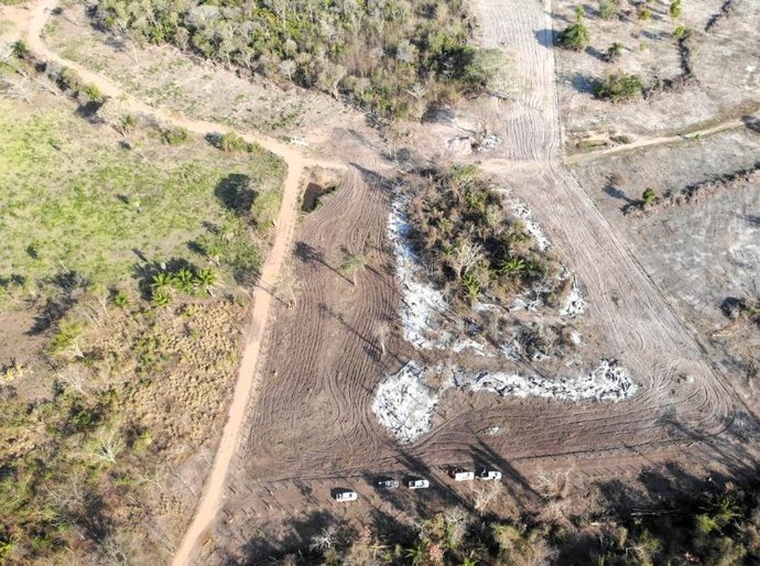 Operação integrada identifica queimada ilegal no Pantanal; infrator é multado